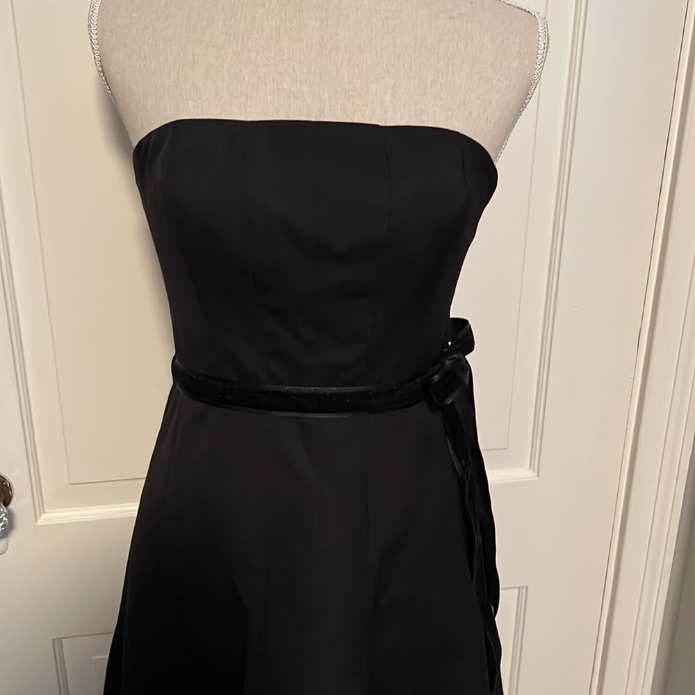 Vintage Express Party Dress View 3